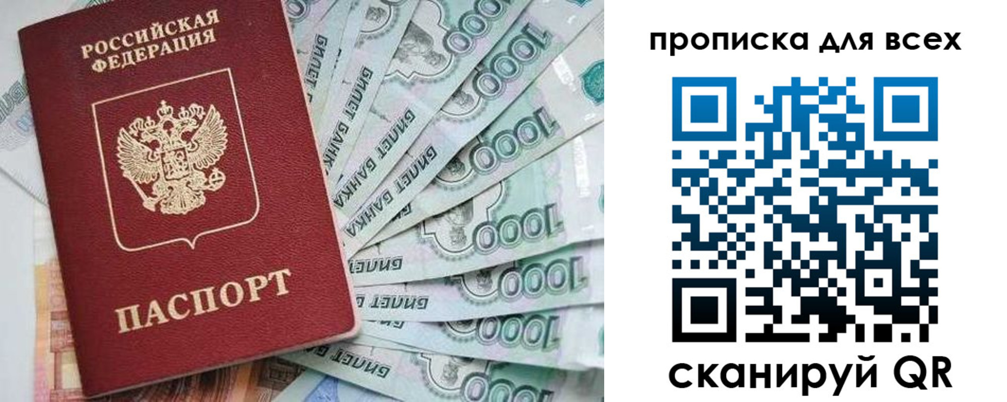 прописка гарантия в Жердевке