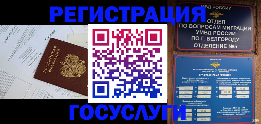временная прописка в Жердевке